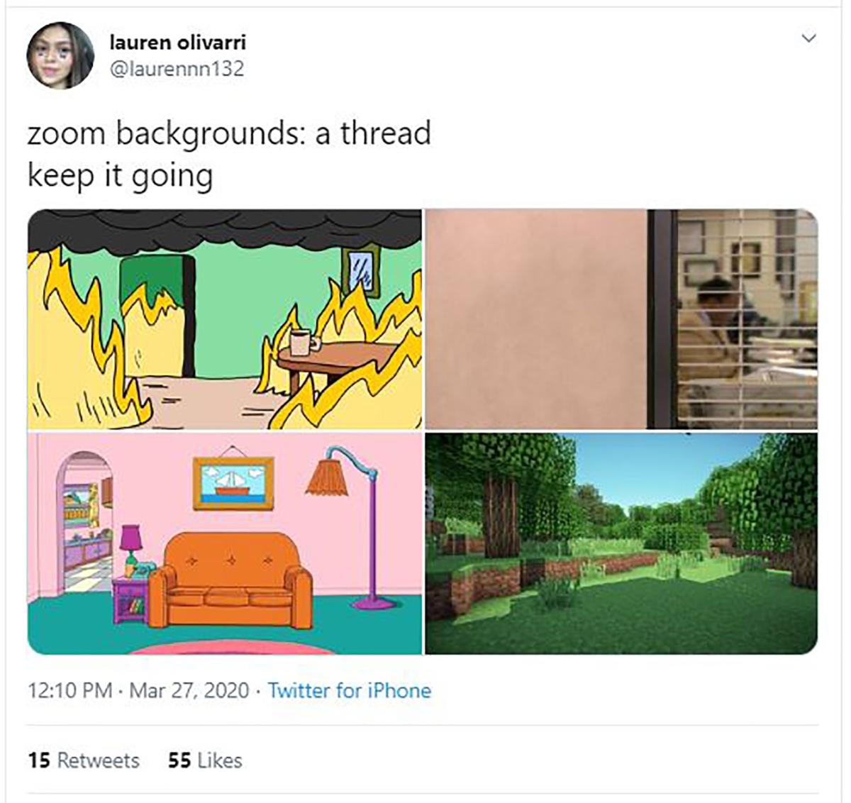 Zoom background examples
