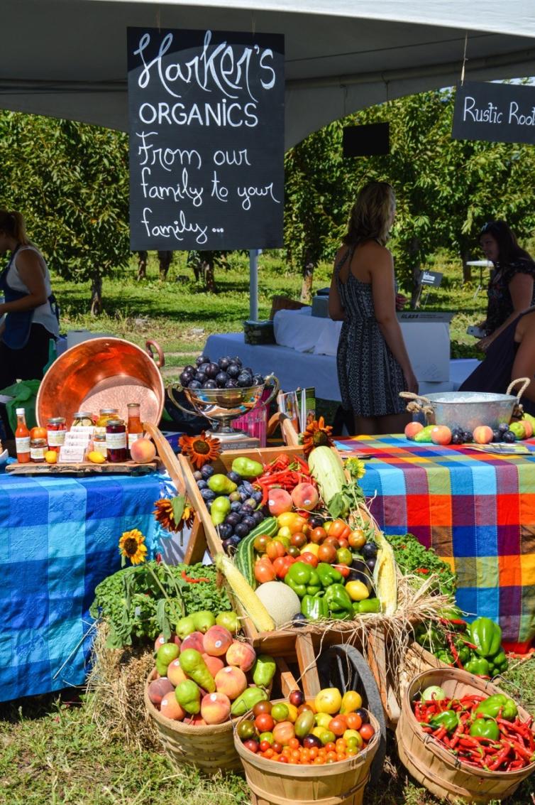 Feast of Fields