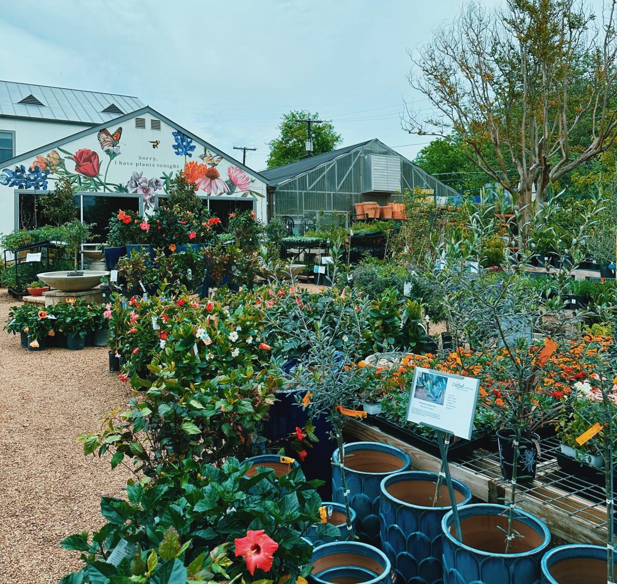 Waltons Garden center