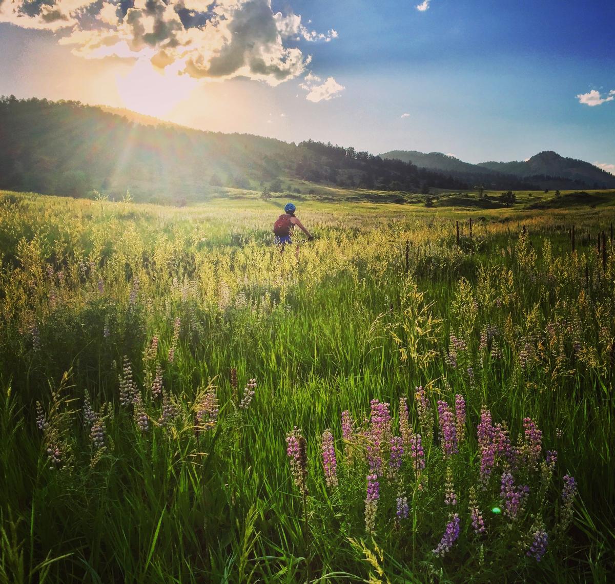 Mountain Biking in Fort Collins