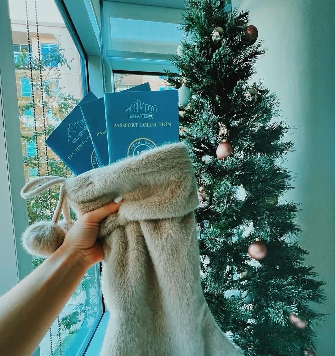 101passports