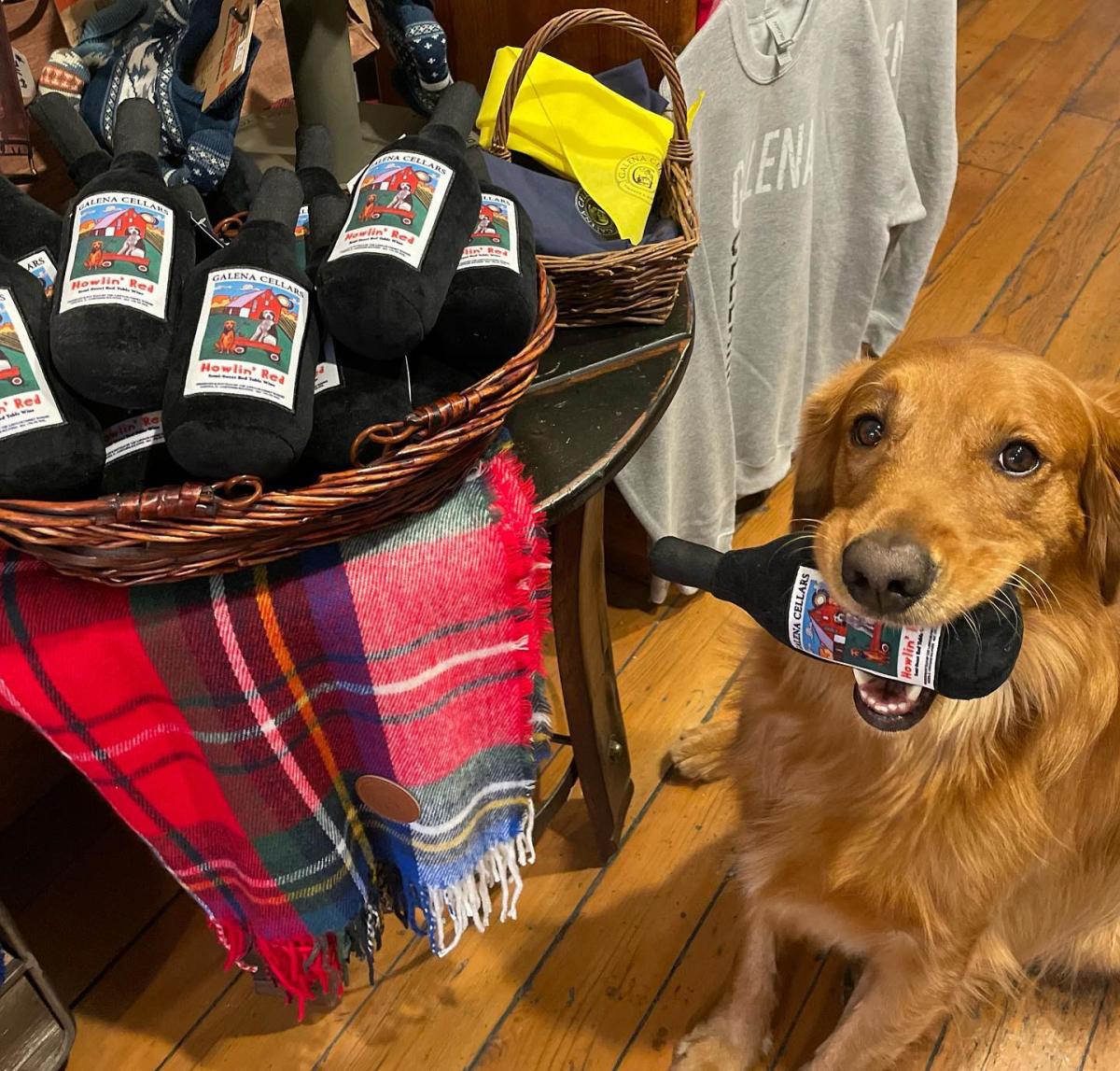 Dog at Galena Cellars