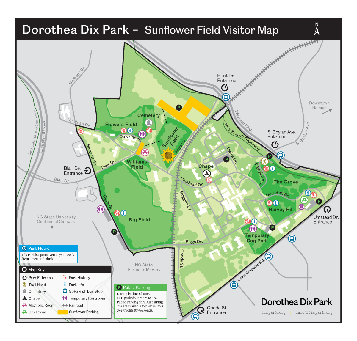 Sunflower Fields Are Blooming at Dorothea Dix Park in Raleigh