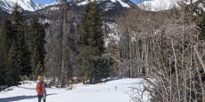 A woman snowshoeing in Rocky Mountain National Park