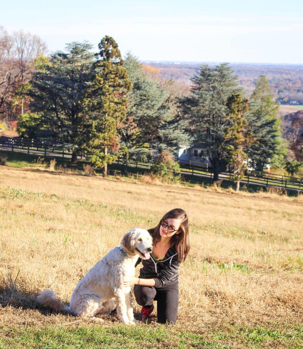 A woman and he dog Hiking at Baldpate Mountain Ted Stiles Preserve