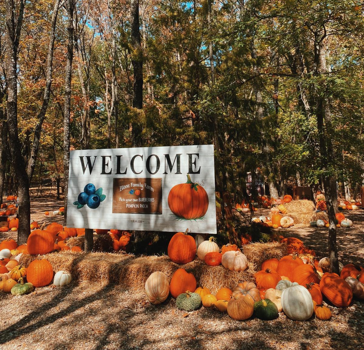 Blase Family Farm Pumpkin Patch