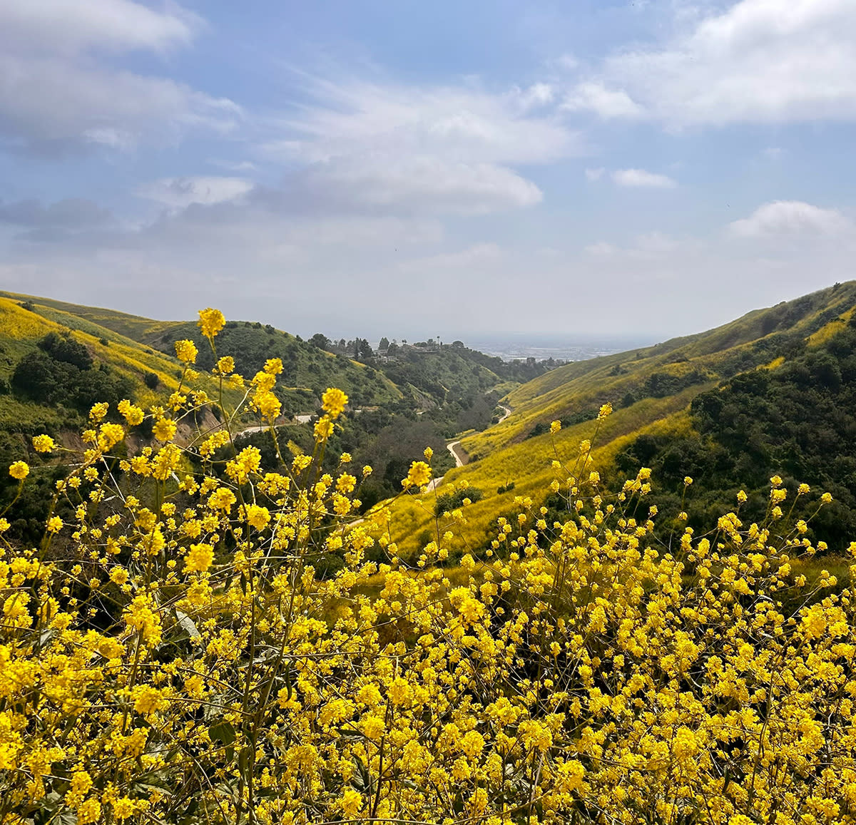 Hiking Trails in Anaheim