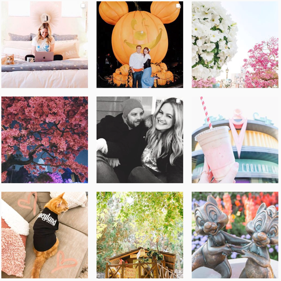 Tangled in Magic on Instagram