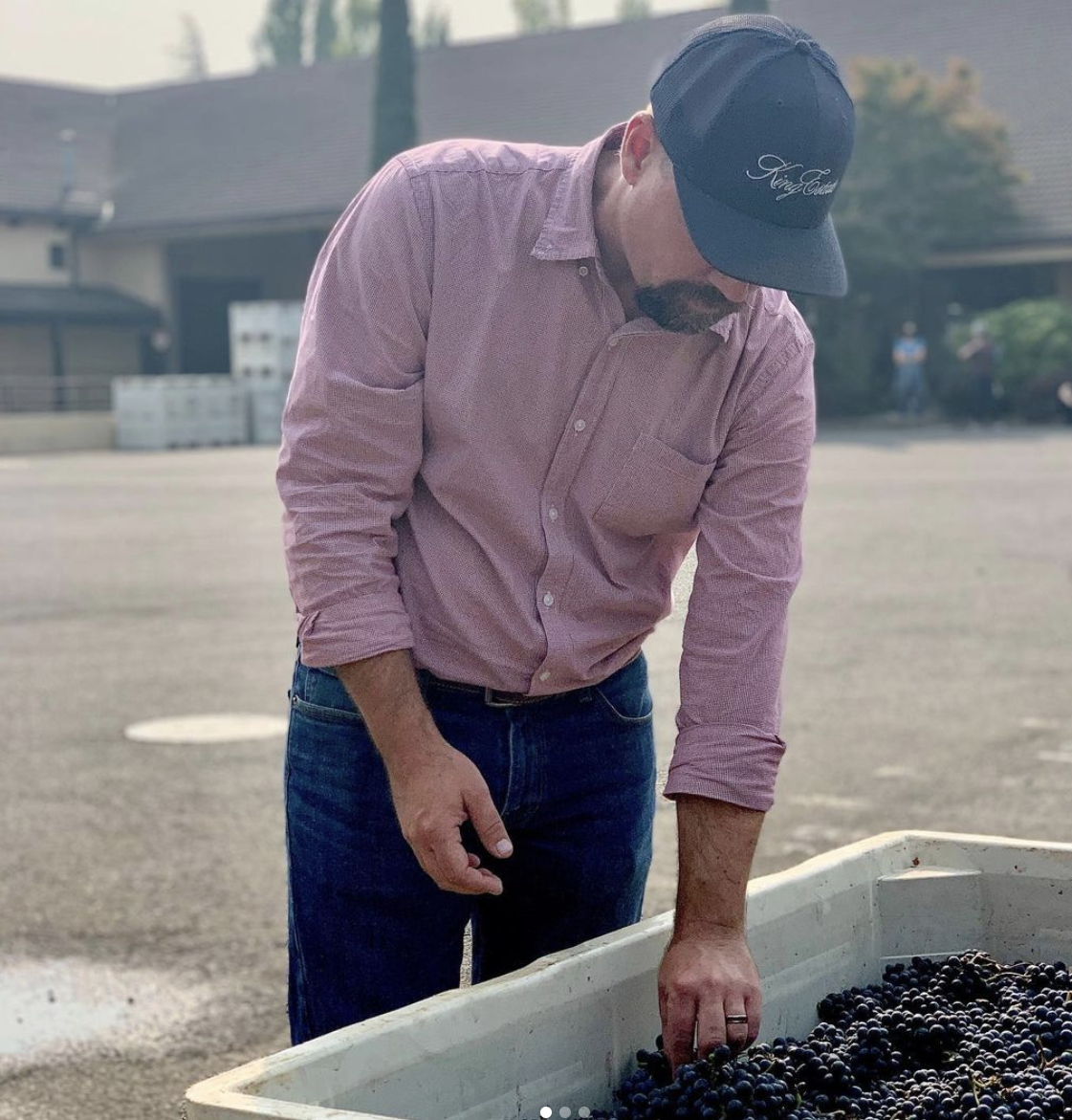 Winemaker Brent Stone inspects fresh Pinot noir grapes in bin.
