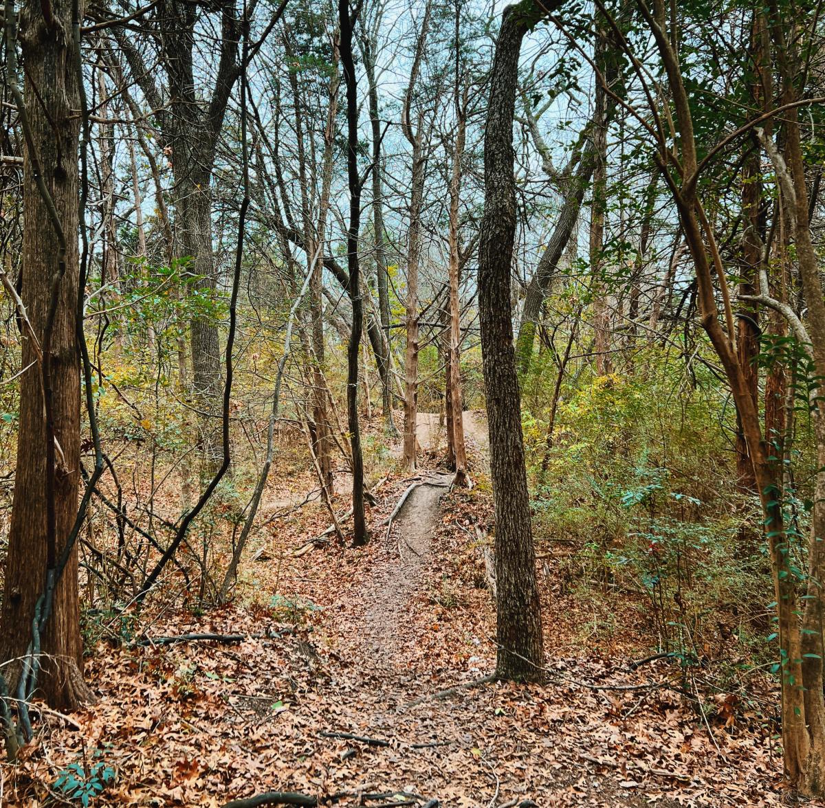 Oak Cliff Nature Preserve