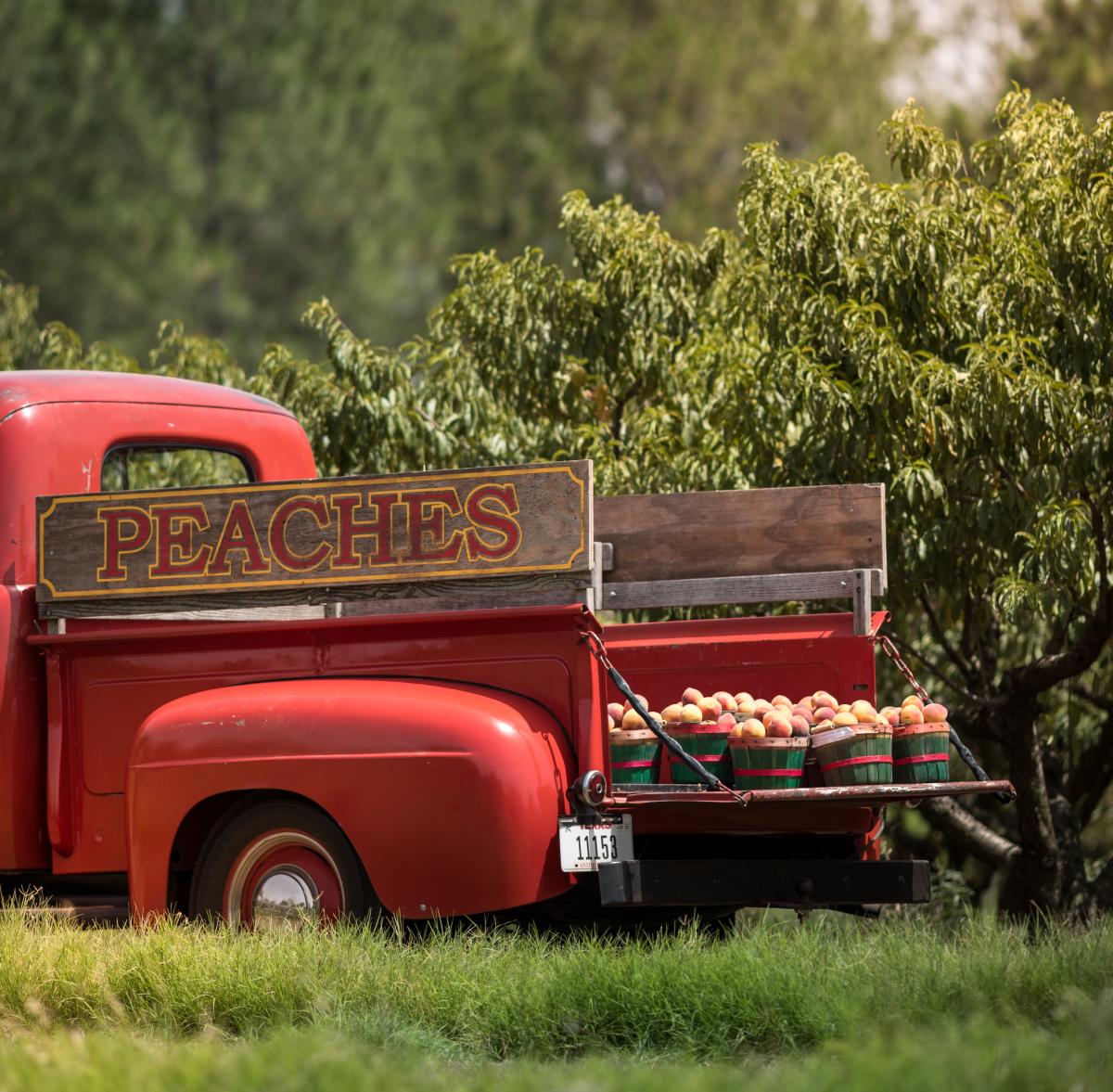Red truck with wooden "Peaches" sign and baskets of fresh peaches