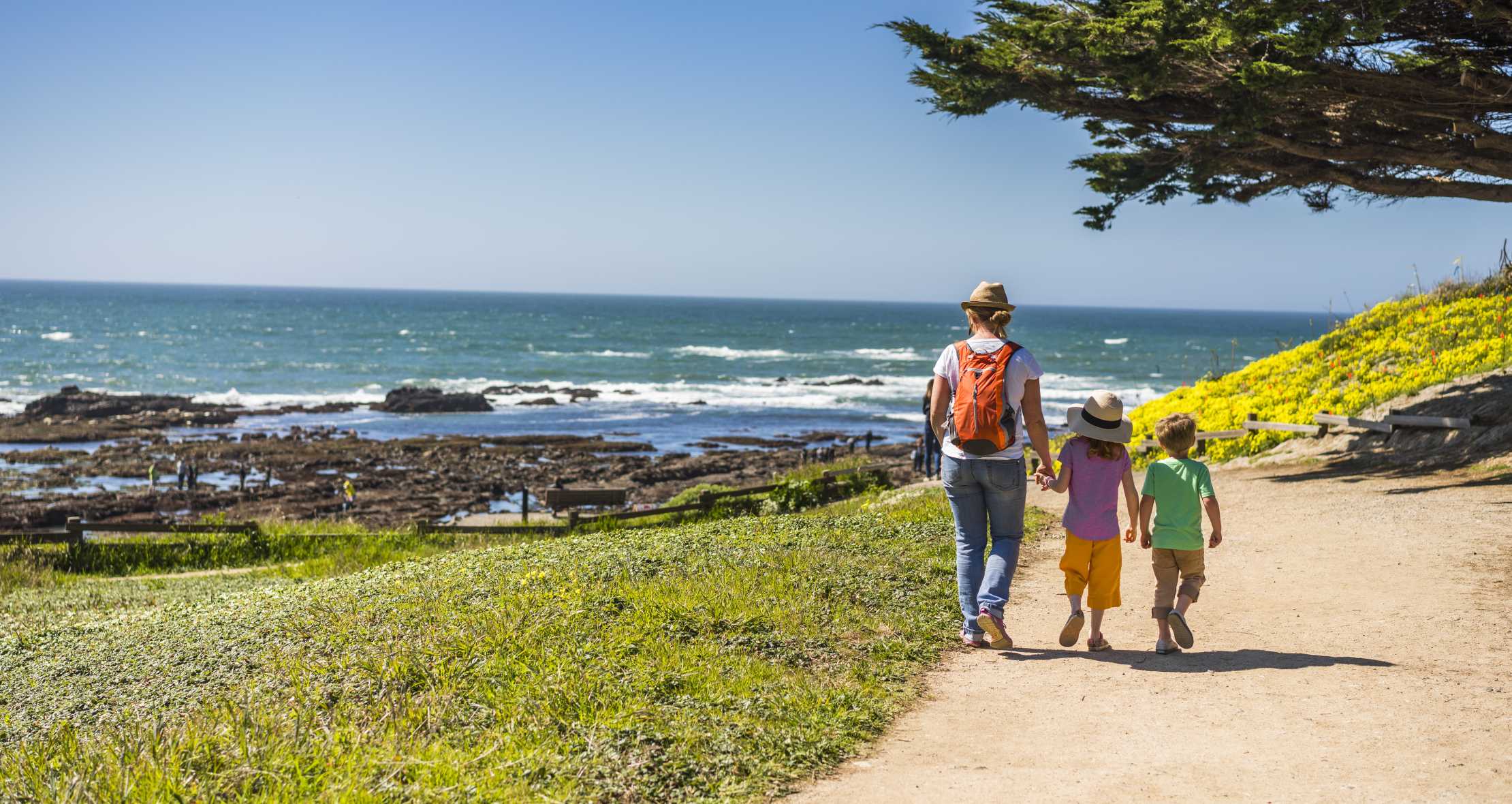 San Mateo County has beaches, museums, and more