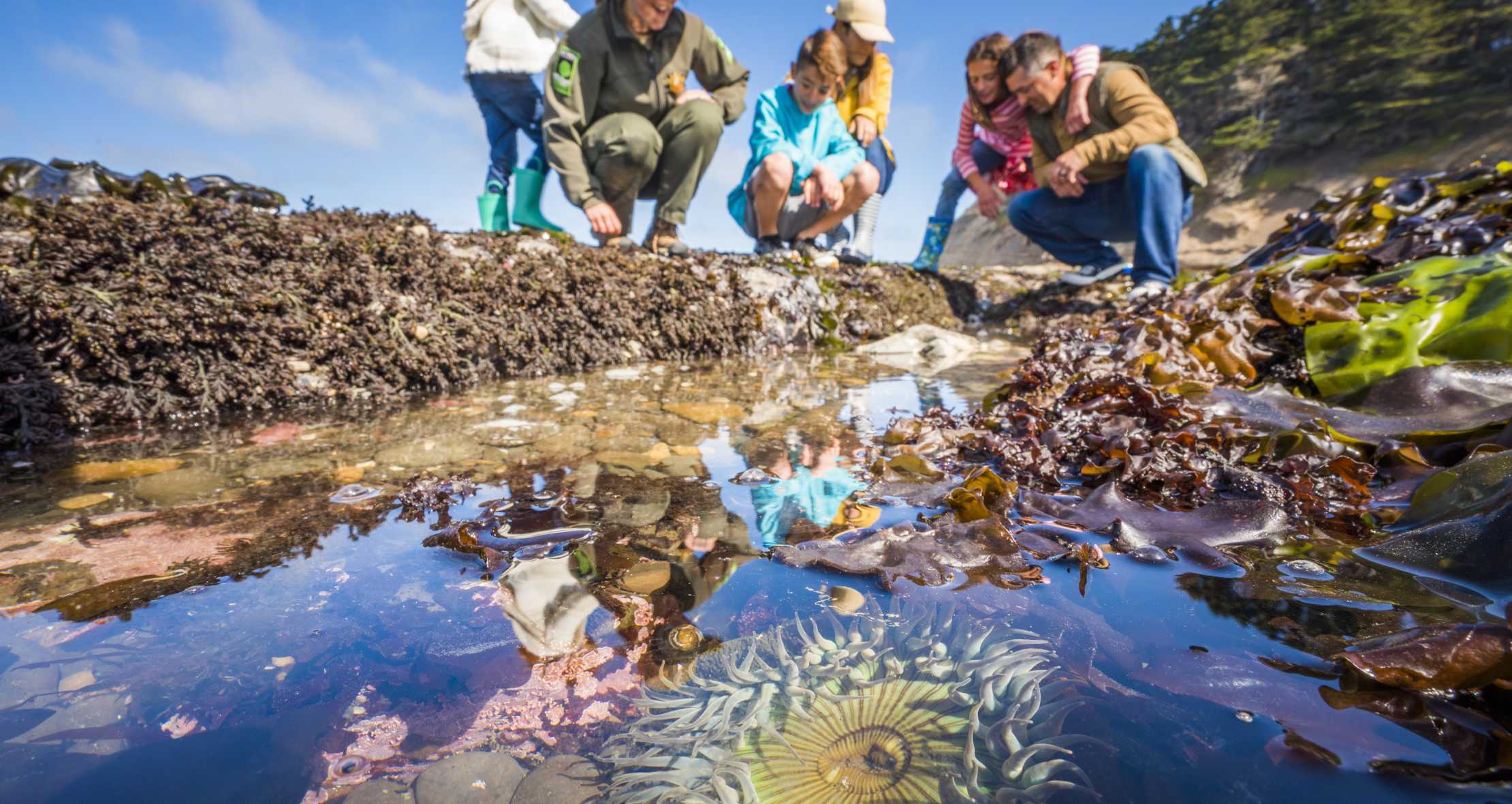 Moss Beach The Buljan Group Luxury Real Estate