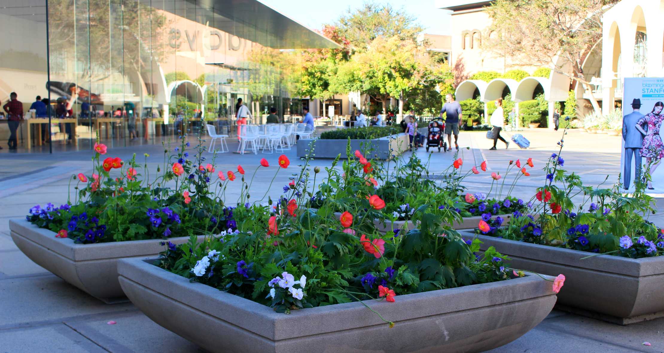 Malls In San Mateo County Silicon Valley Hillsdale Mall