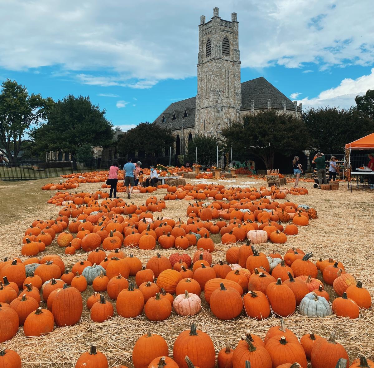 St. James Episcopal Church Pumpkin Patch