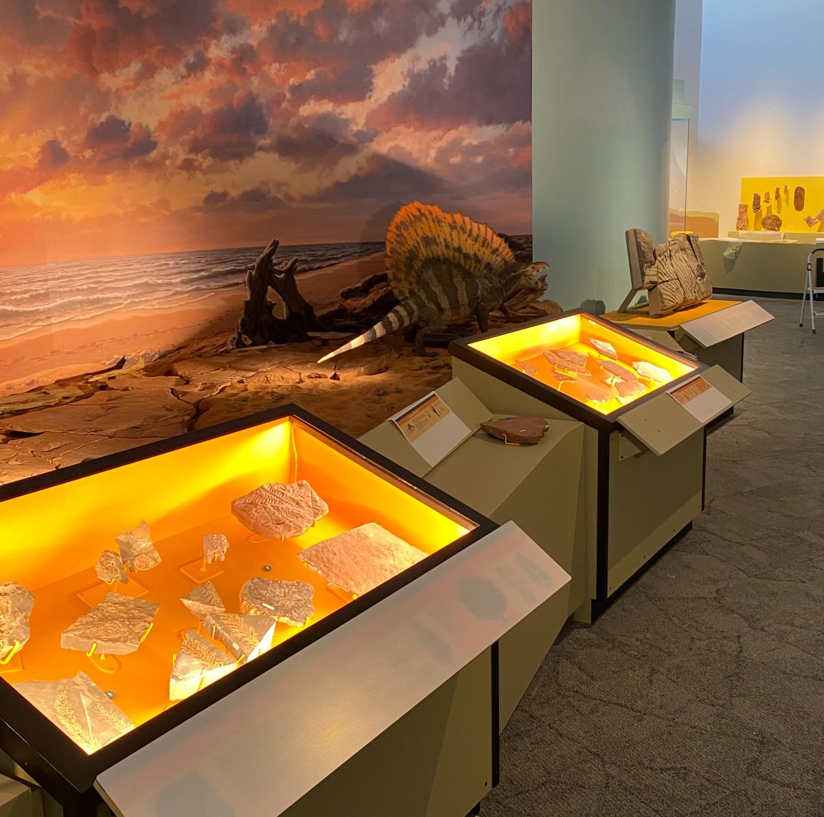 An exhibit in the Hall of Ancient Life at the New Mexico Museum of Natural History and Science.