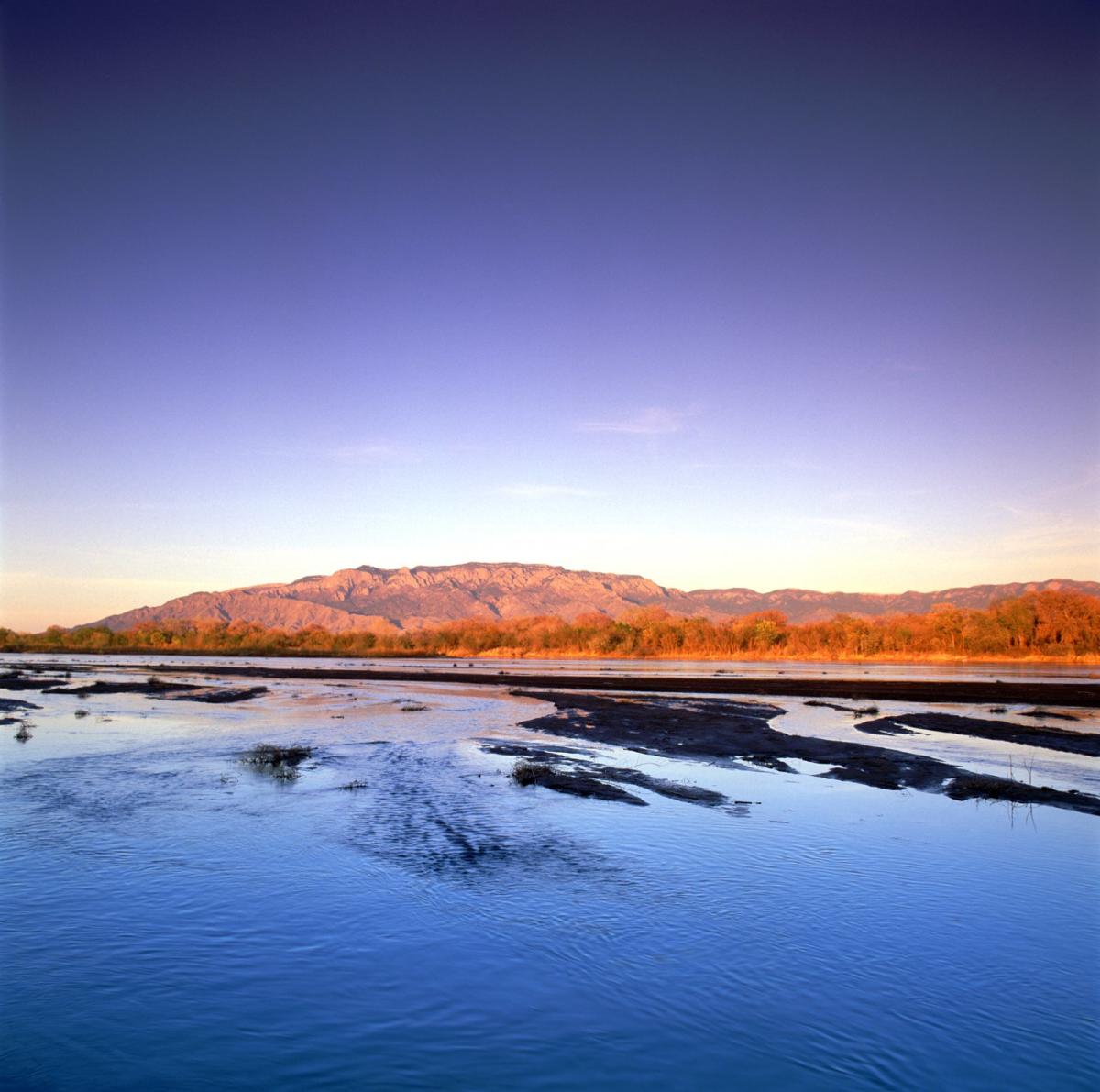 A view of the Sandia Mountains from the Rio Grande Bosque.