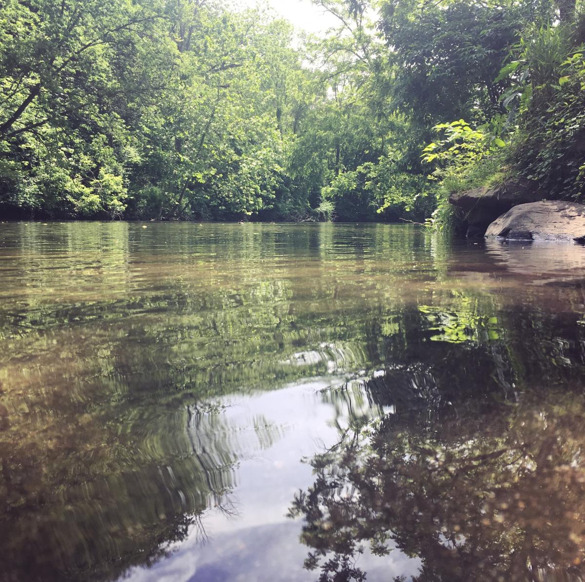 Lower Allen Park
