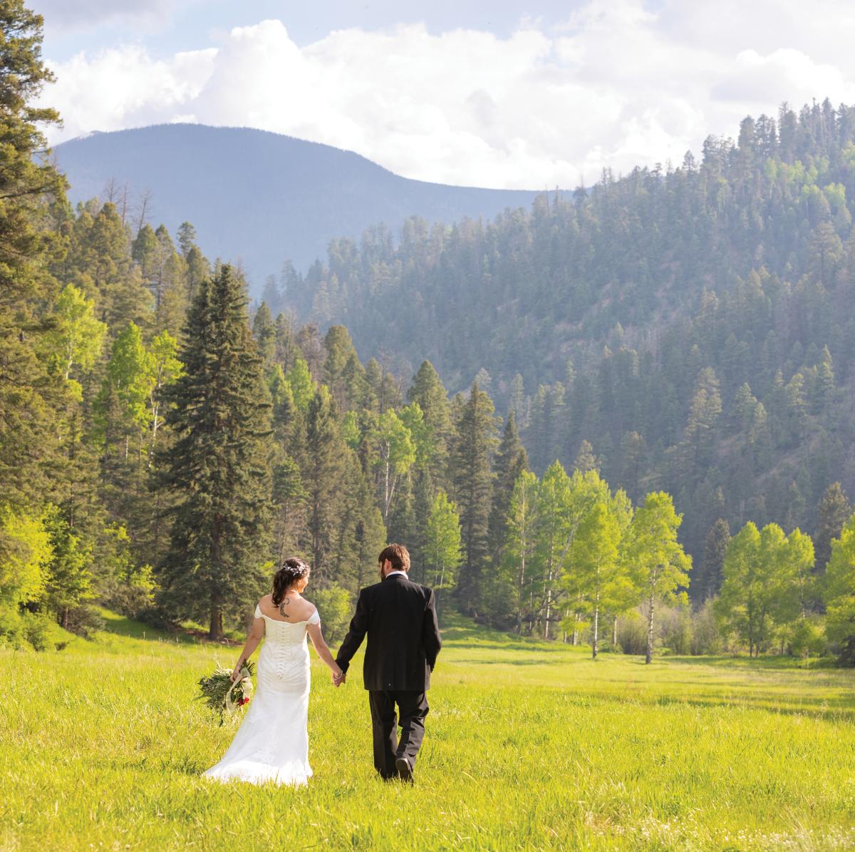 A bride and groom hold hands, walking through a lush green meadow bordered by tall trees and mountains.