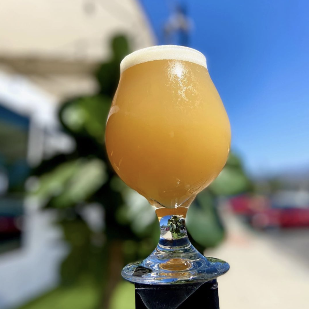 Laguna Beach Brewing Company
