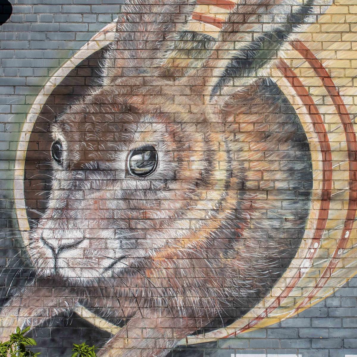 A bunny busts through a barrel in a mural on the side of the Swamp Rabbit Brewery & Taproom in Travelers Rest, SC.