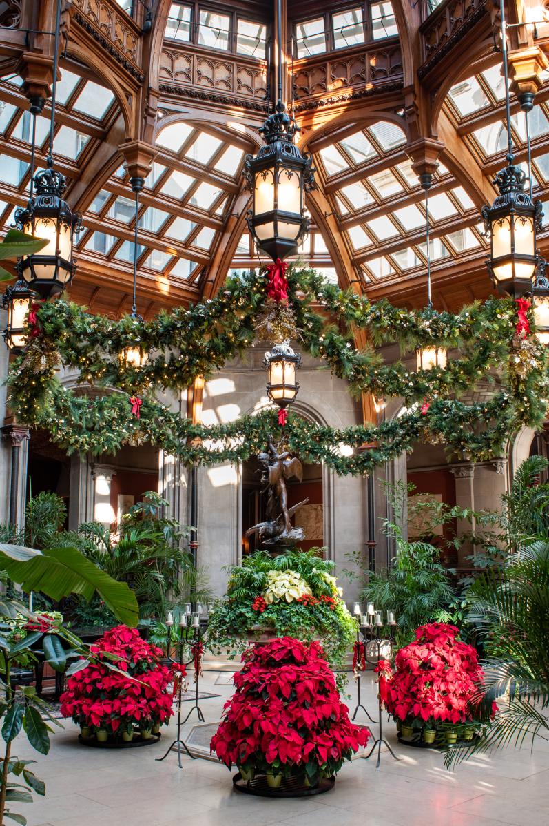 The Winter Garden features fresh poinsettias during Christmas at Biltmore
