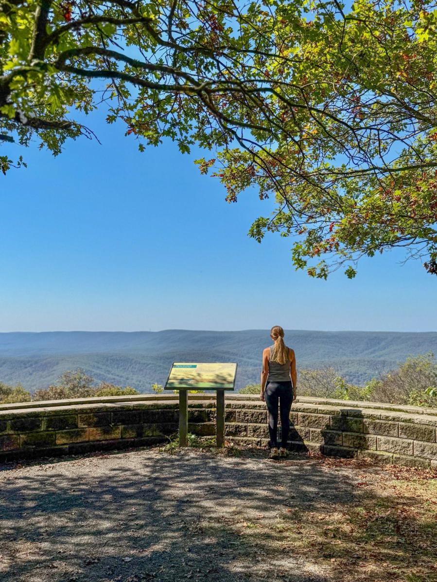 Scenic view
