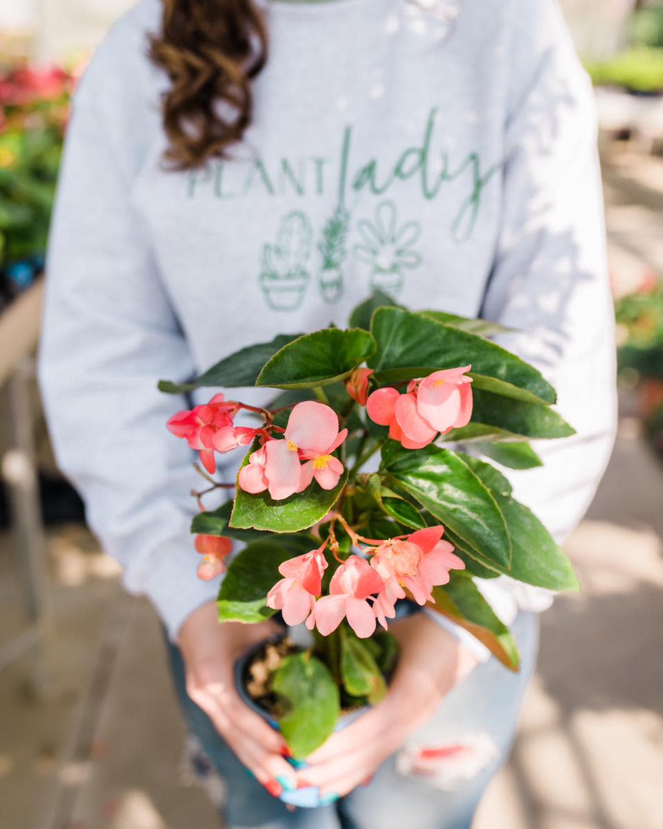 Dutch Mill Greenhouse