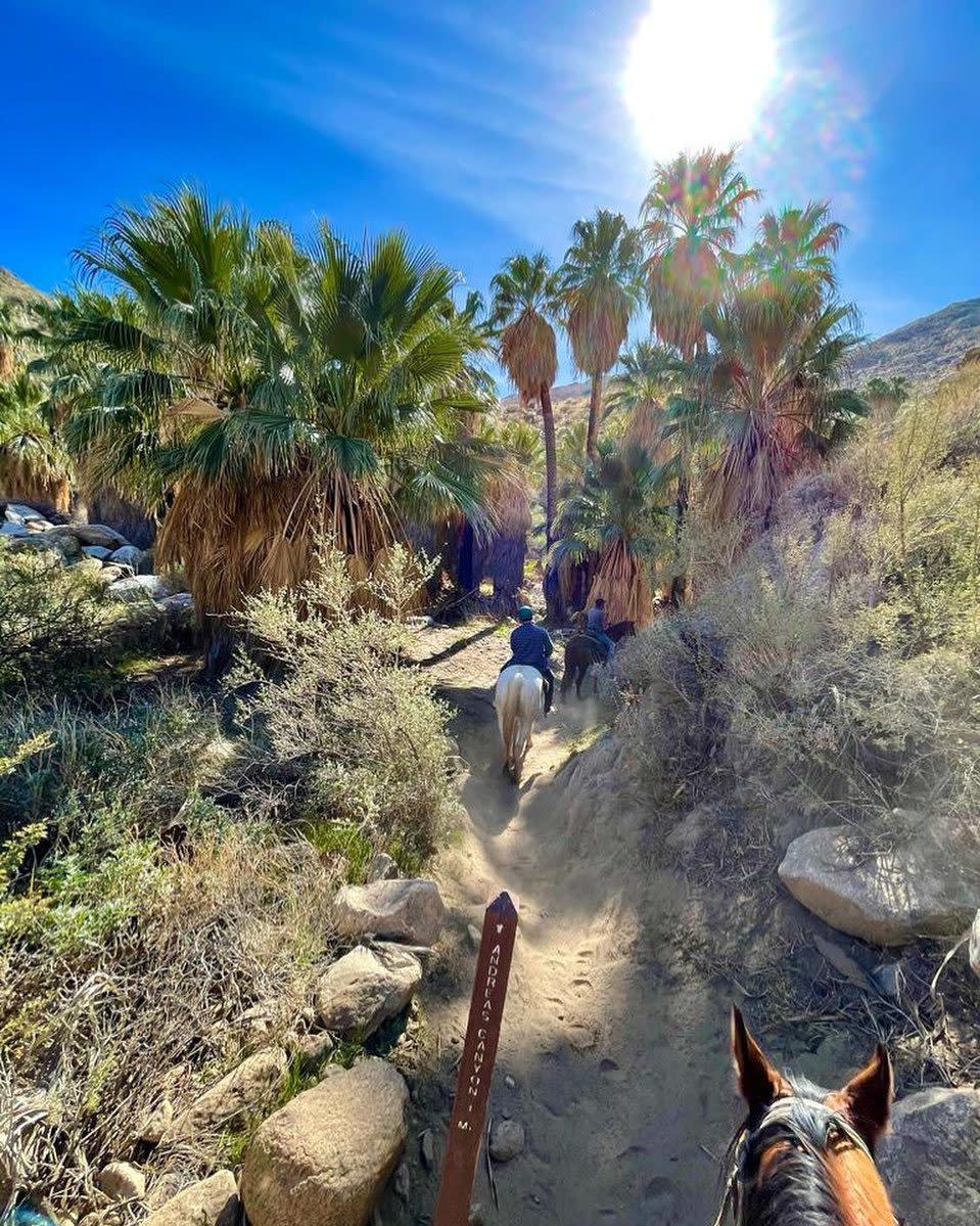 smoke tree stables andreas canyon