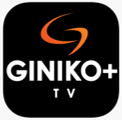 Giniko logo
