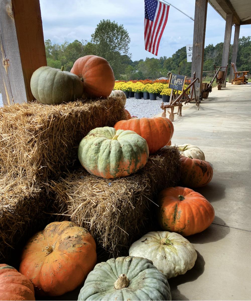 reeves pumpkins