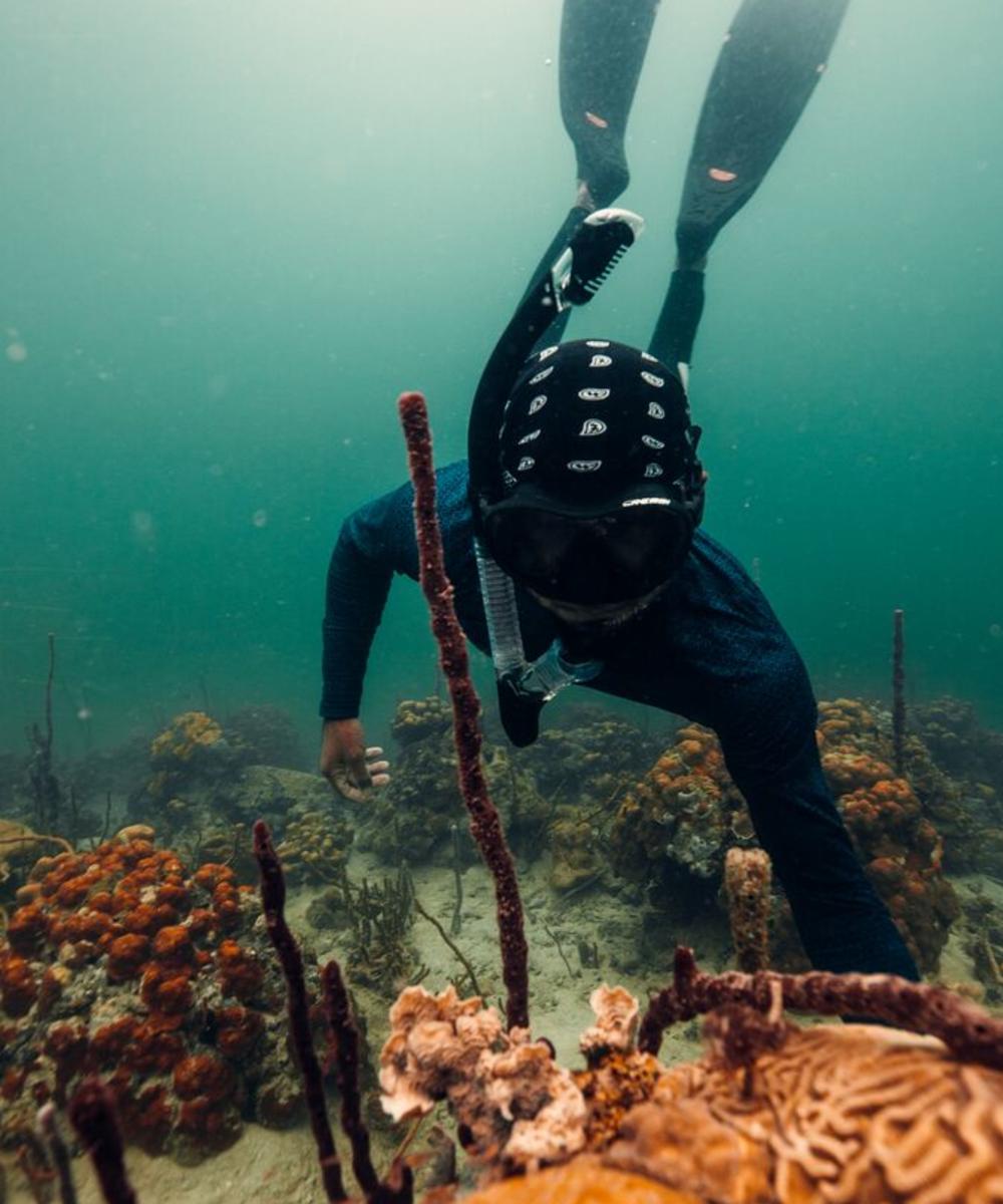 Snorkel, Punta Hospital, Bastimentos, Bocas del Toro Province