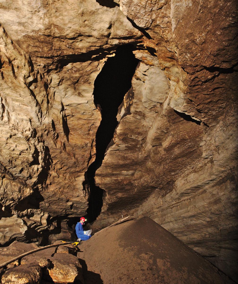 At Carlsbad Caverns, researchers such as Andreas Pflitsch prove that bats, including the pallid bat.