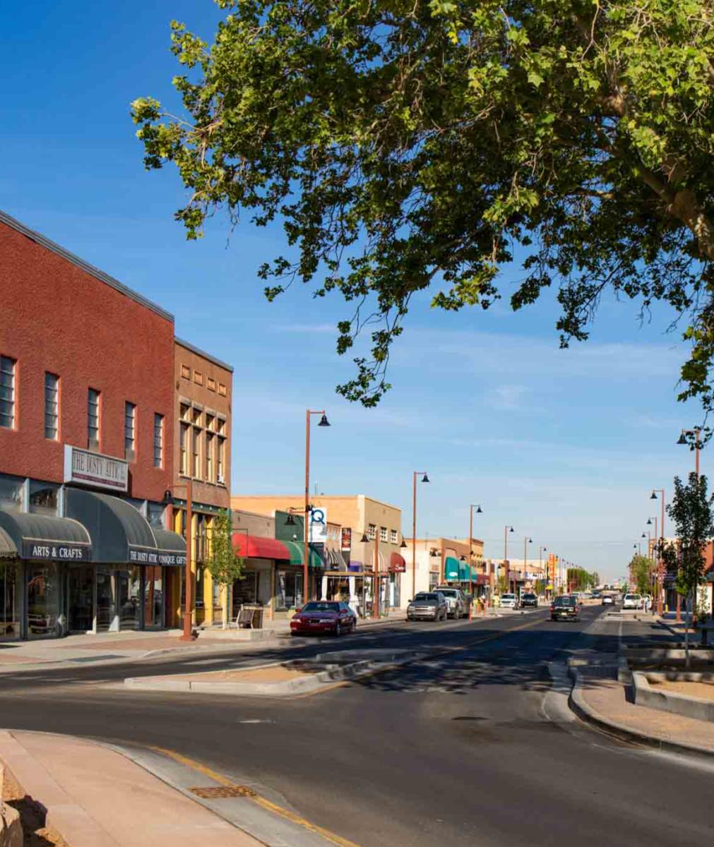 A street runs through a small town with buildings and businesses alongside it, shaded by a large tree