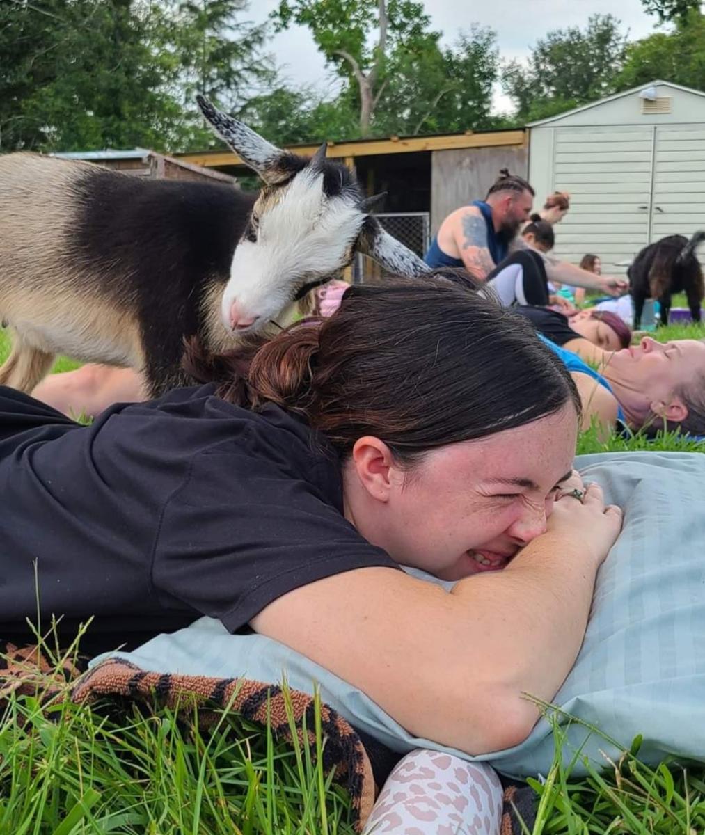 Little goats make yoga more fun at Cajun Corral Farm in Pearl River.