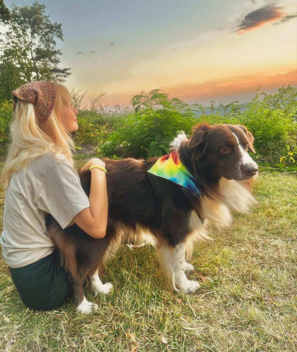 brow park sunset with a blonde young woman and her brown and white dog admiring the view