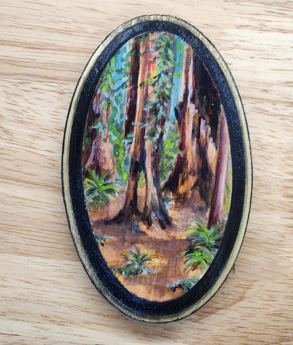 Brothe Redwoods
