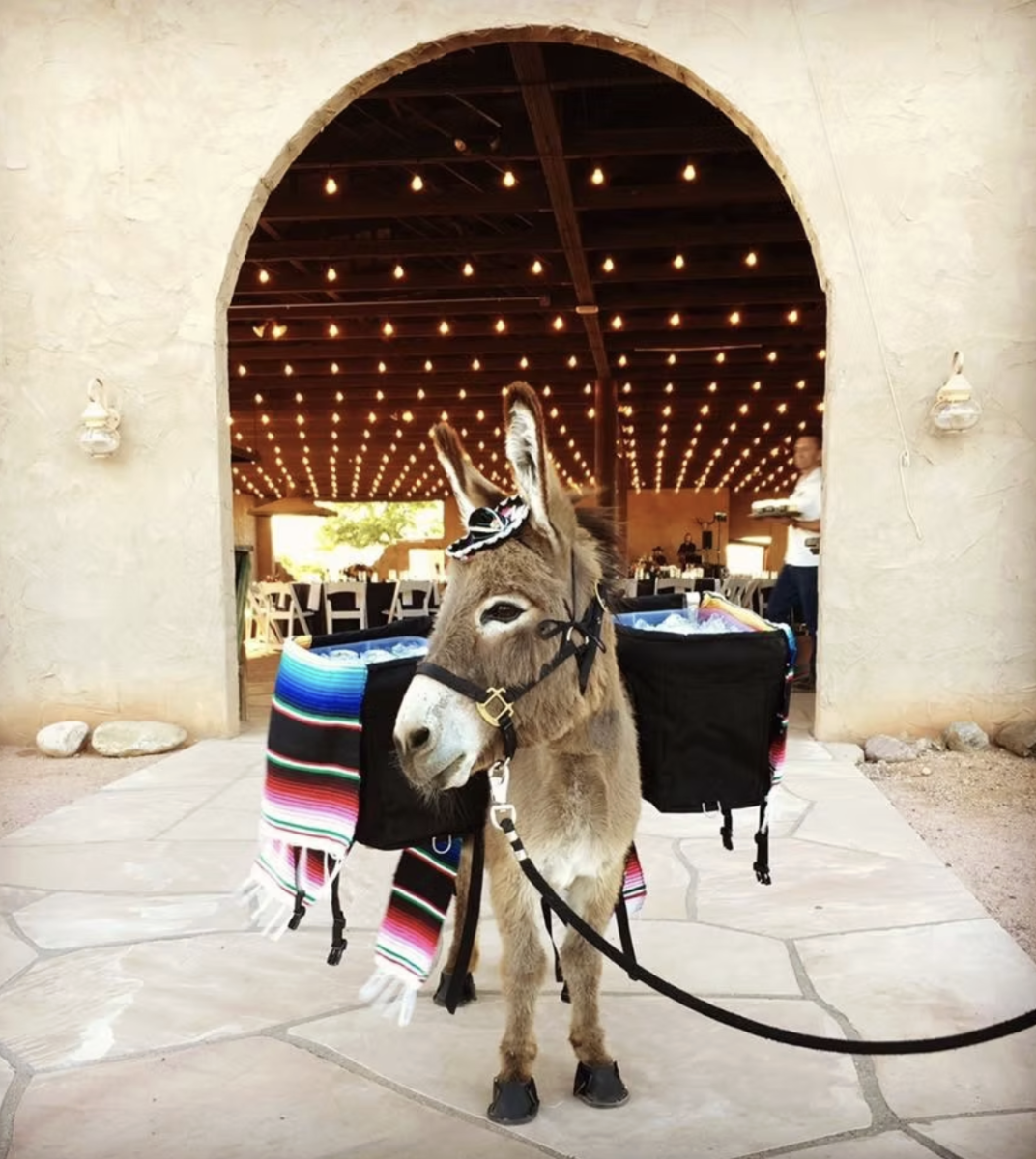 Beer Burros