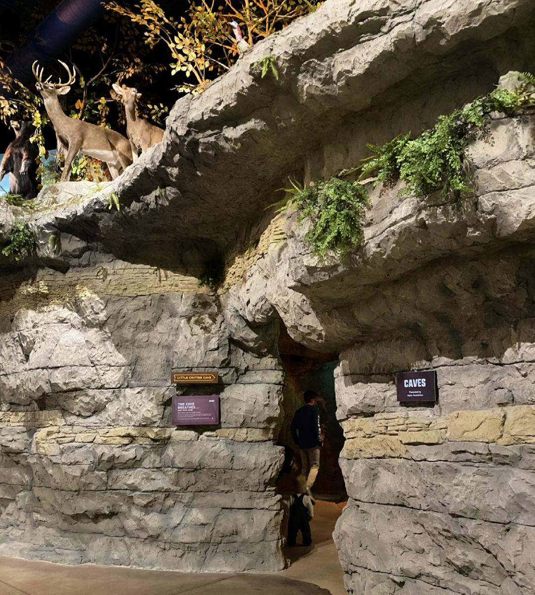 cook museum cave