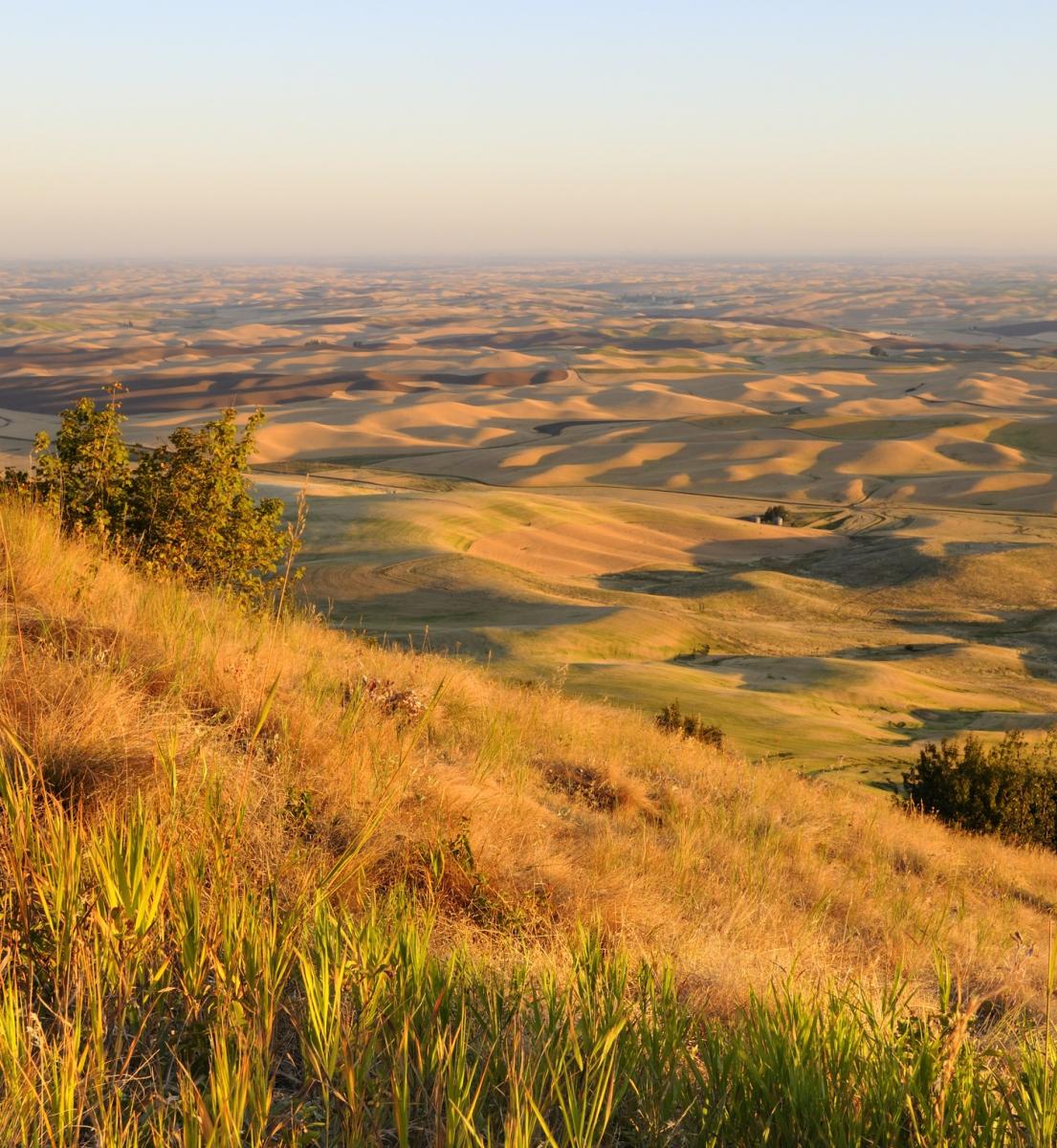 Sunset Palouse