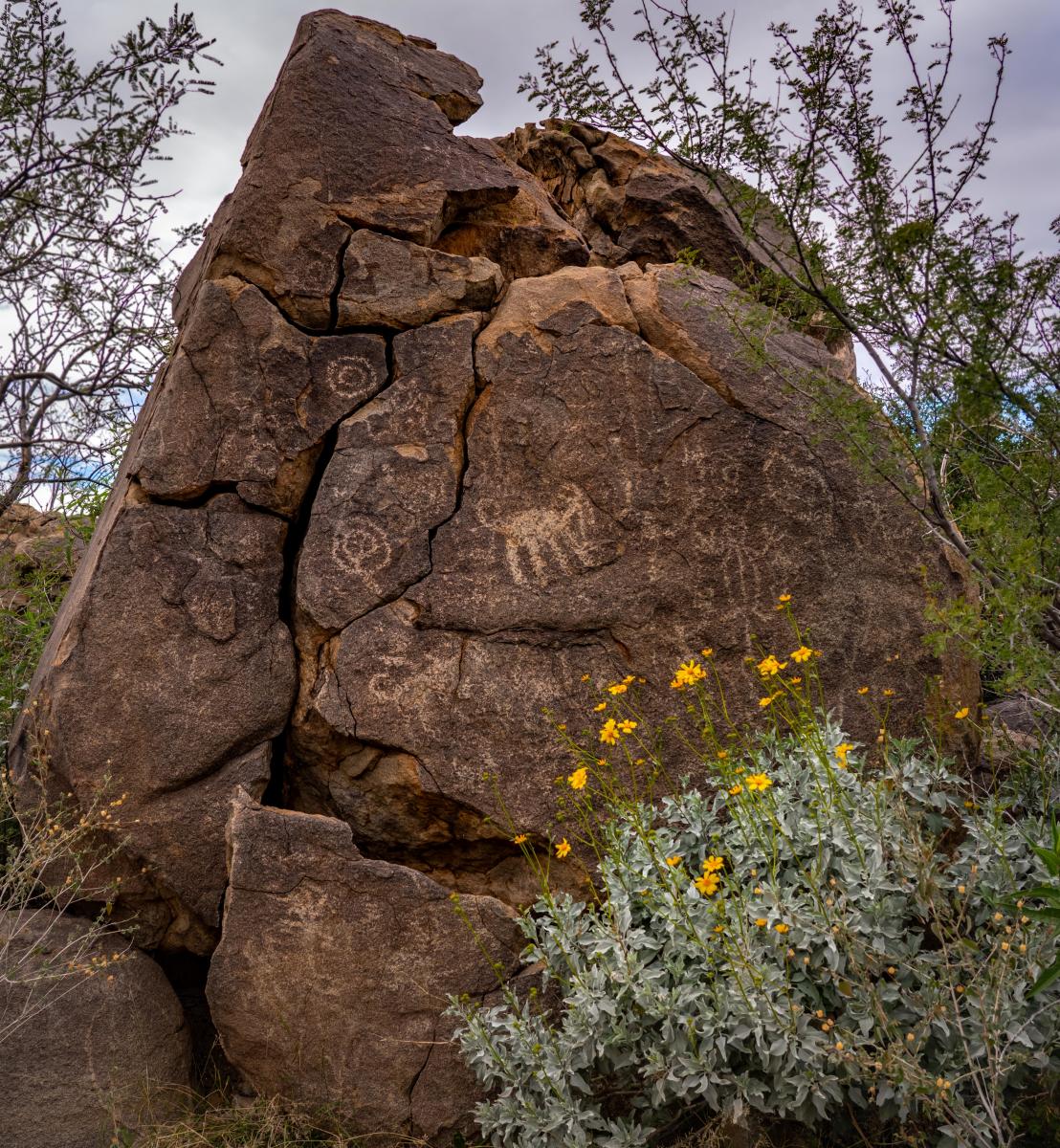 Large rock in the desert with ancient Petroglyphs drawn on it