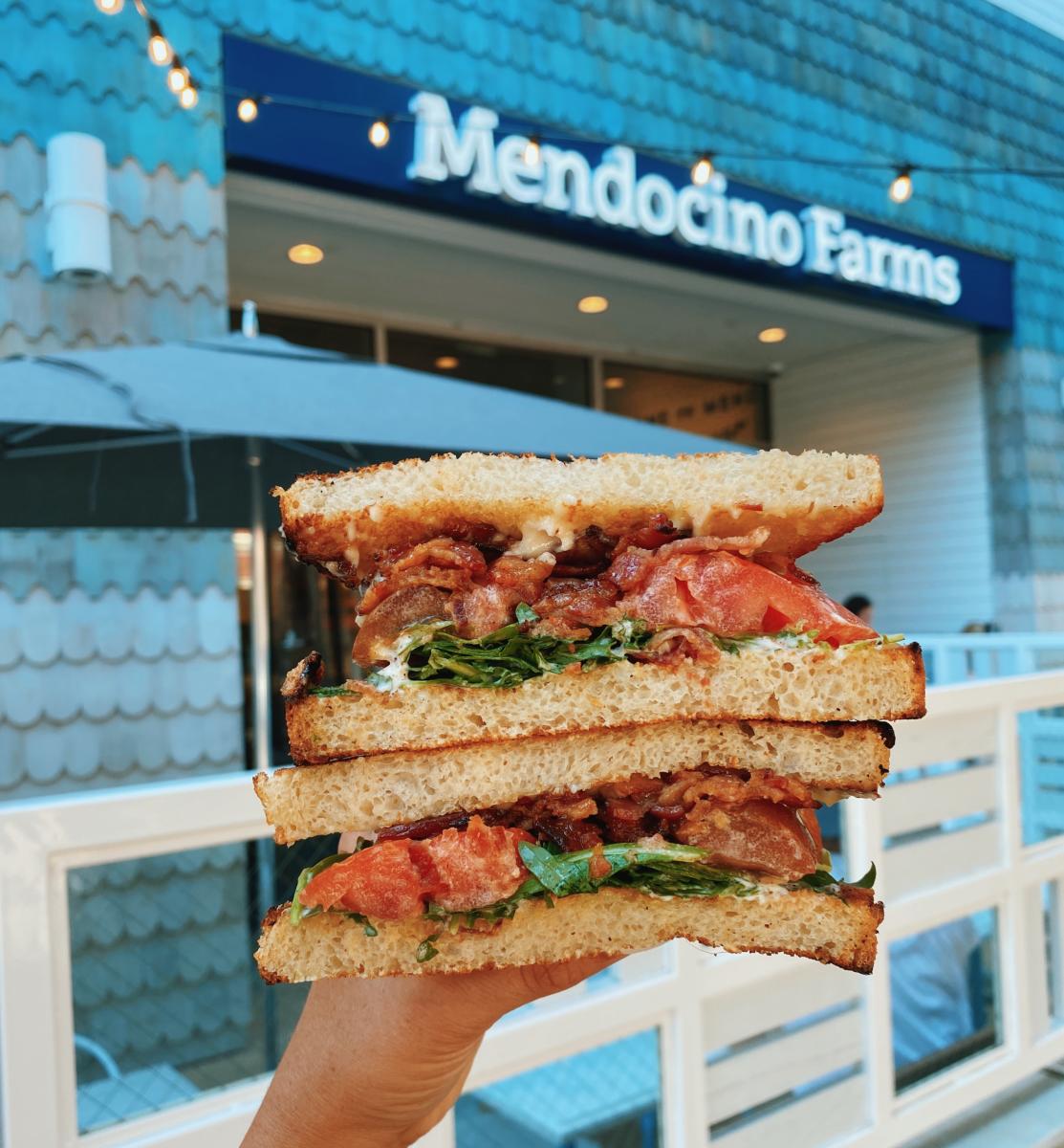 mendocino farms west village