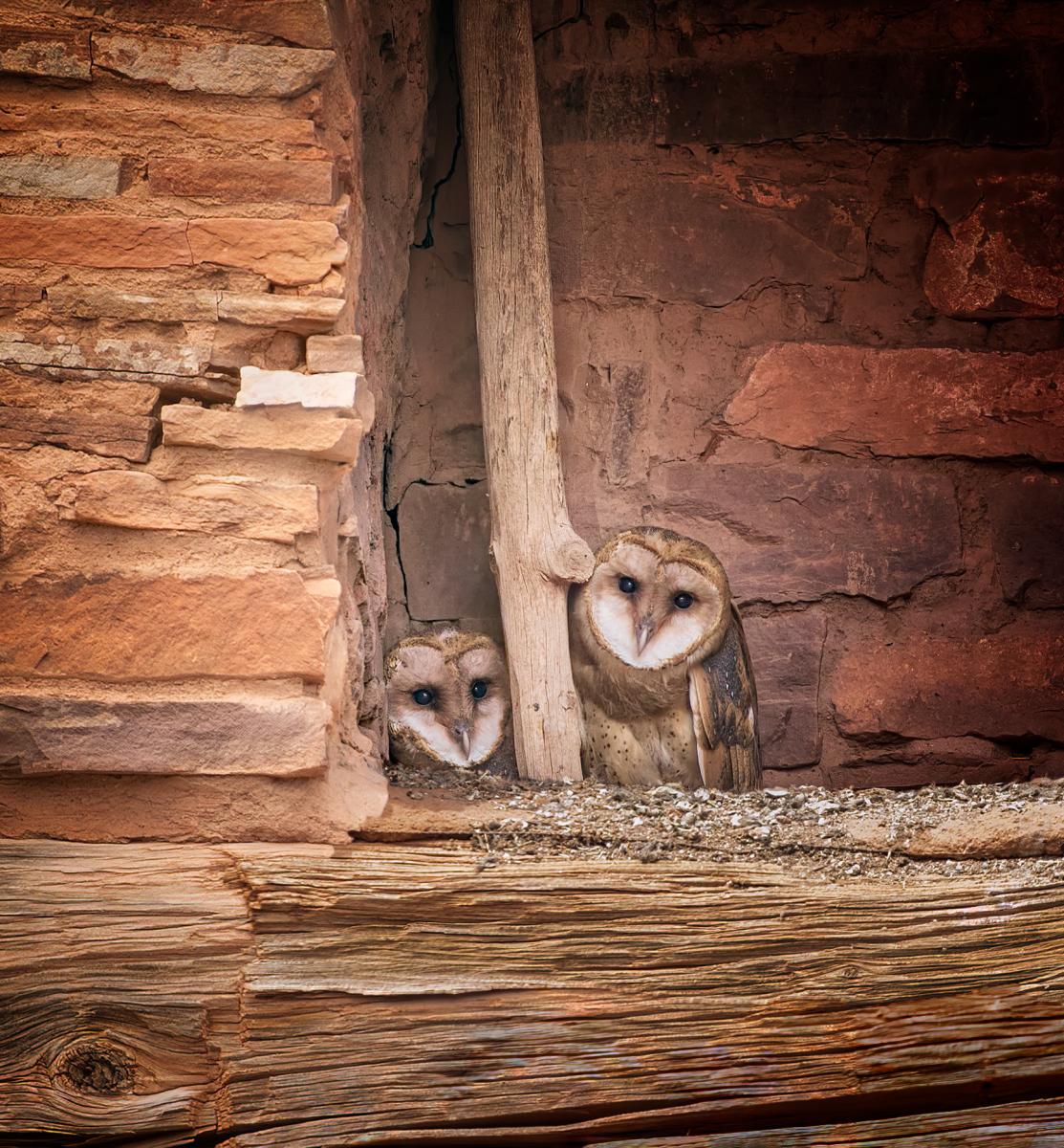 Two Peas in a Pod, Photograph by Pam Dorner, New Mexico Magazine
