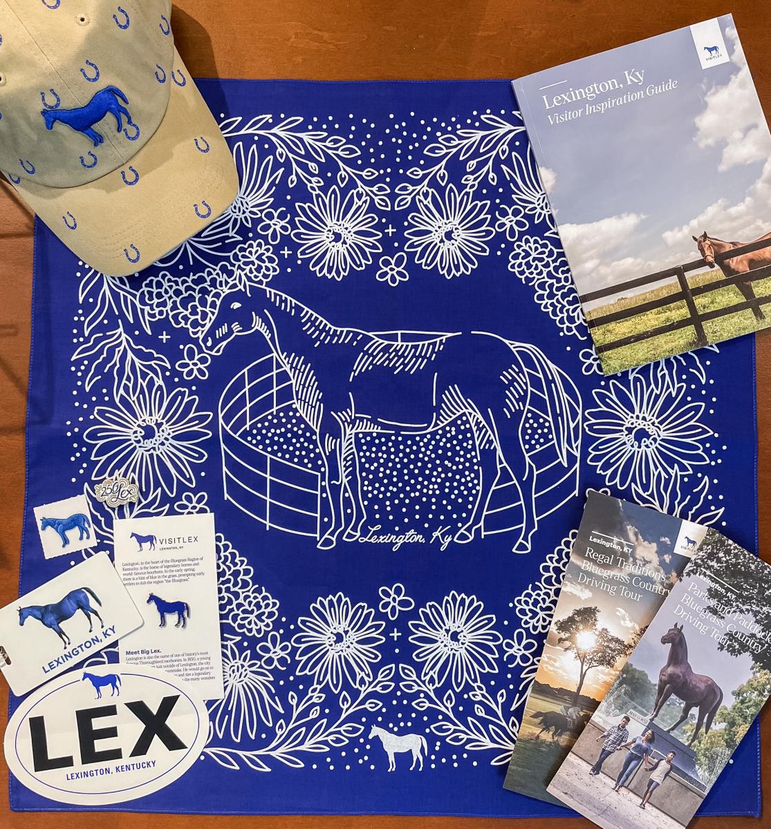 Flat lay of brochures, stickers, pins, bandana, hat