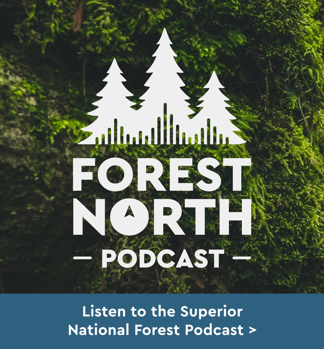 Subscribe - Forest North Podcast