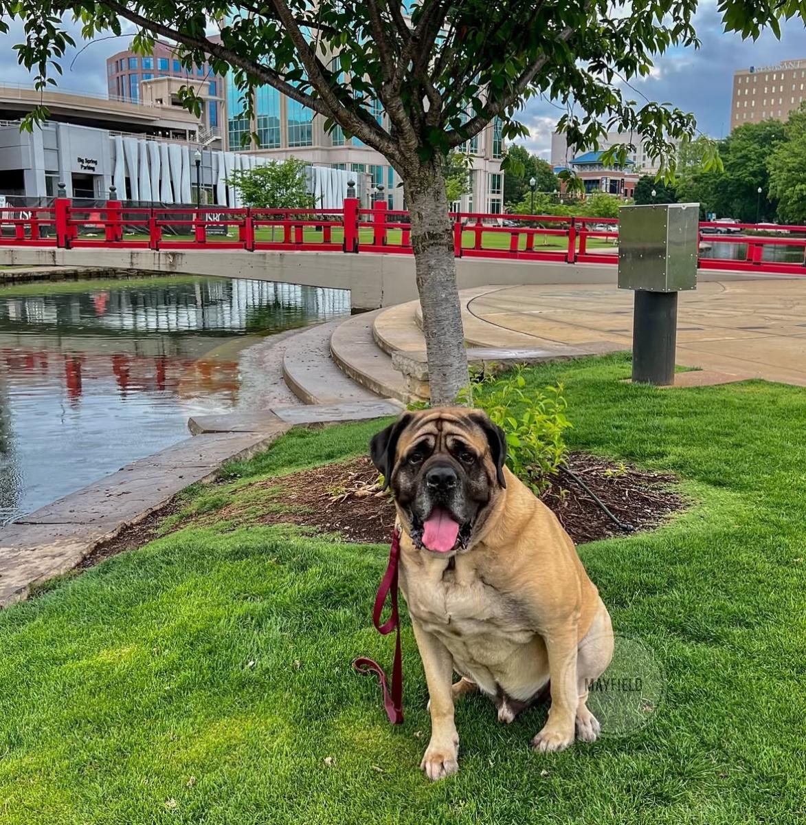 hector big spring park
