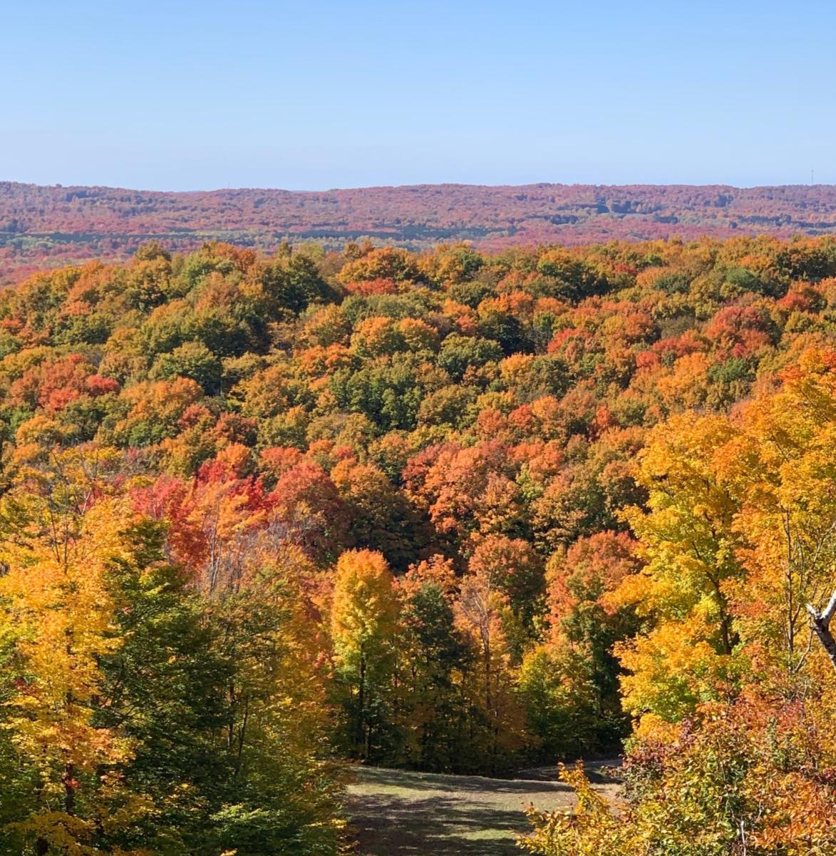 Best Spots for Fall Color Traverse City, MI