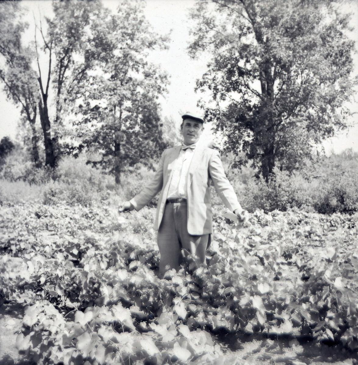 Konstantin with his grafted vines