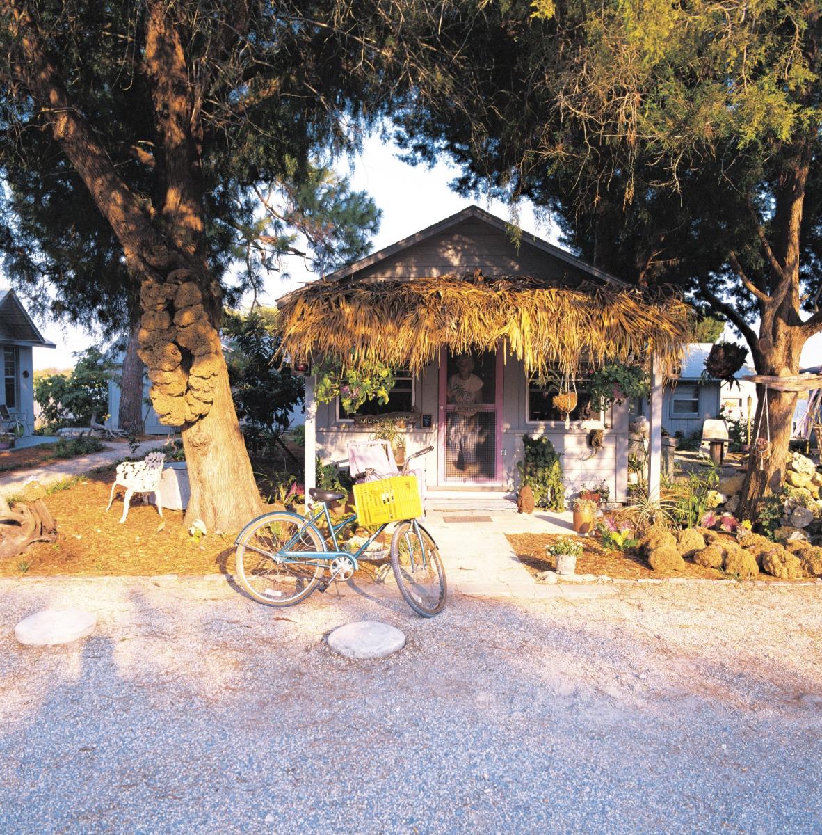 beach shack