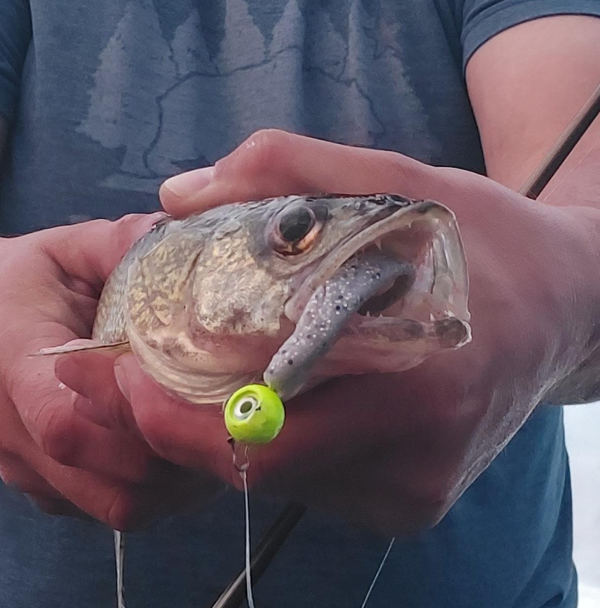 Matt Snell Fishing